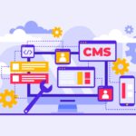 WordPress Theme Installation & Demo Content - Elite